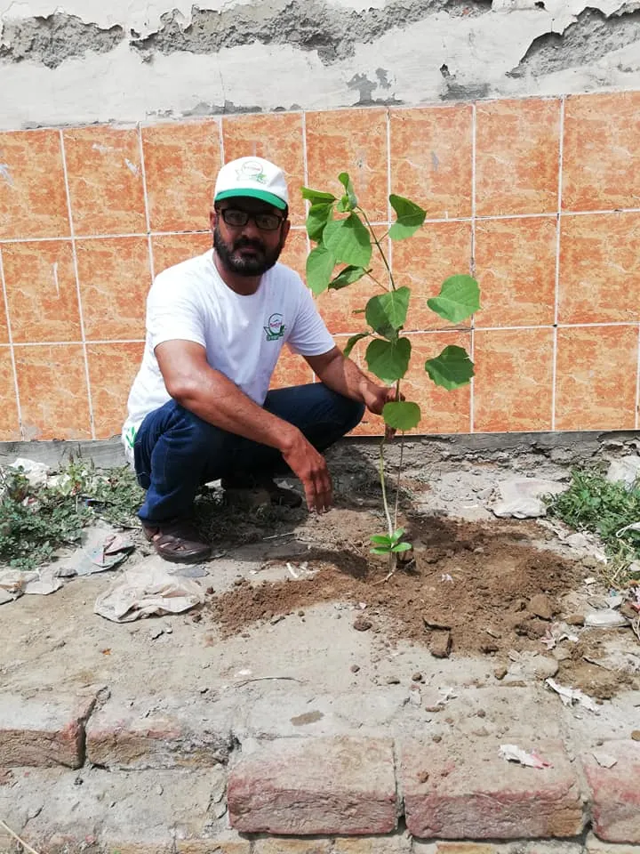 Green Seekers Activity